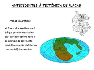 Probas xeográficas
A forma dos continentes é
tal que permite un encaixe
casi perfecto (sobre todo si
se ademáis do continente
considérase a súa plataforma
continental) duns noutros.
ANTECEDENTES Á TECTÓNICA DE PLACAS
 
