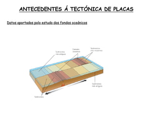 ANTECEDENTES Á TECTÓNICA DE PLACAS
Datos aportados polo estudo dos fondos oceánicos
 