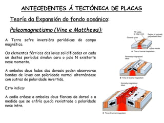 Paleomagnetismo (Vine e Matthews):
A Terra sofre inversións periódicas do campo
magnético.
Os elementos férricos das lavas solidificadas en cada
un destes períodos sinalan cara o polo N existente
nese momento.
A ambolos dous lados das dorsais poden observarse
bandas de lavas con polaridade normal alternándose
con outras de polaridade invertida.
Esto indica:
A codia créase a ambolos dous flancos da dorsal e a
medida que se enfría queda rexistrada a polaridade
nese intre. que tenía la Tierra en ese momento
ANTECEDENTES Á TECTÓNICA DE PLACAS
Teoría da Expansión do fondo oceánico:
 