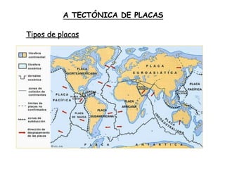 Tipos de placas
A TECTÓNICA DE PLACAS
 