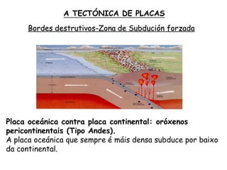 Bordes destrutivos-Zona de Subdución forzada
Placa oceánica contra placa continental: oróxenos
pericontinentais (Tipo Andes).
A placa oceánica que sempre é máis densa subduce por baixo
da continental.
A TECTÓNICA DE PLACAS
 