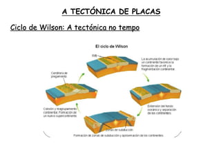 A TECTÓNICA DE PLACAS
Ciclo de Wilson: A tectónica no tempo
 