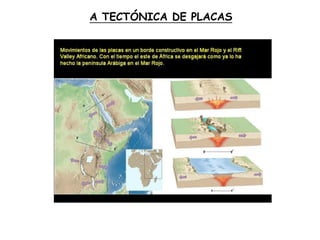 A TECTÓNICA DE PLACAS
 