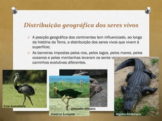Distribuição geográfica dos seres vivos
                    O A posição geográfica dos continentes tem influenciado, ao longo
                      da história da Terra, a distribuição dos seres vivos que vivem à
                      superfície;
                    O As barreiras impostas pelos rios, pelos lagos, pelos mares, pelos
                      oceanos e pelas montanhas levaram os seres vivos a seguir
                      caminhos evolutivos diferentes.




         Prof. Catarina Soares
Ema Australiana                                                                             35
                                               Crocodilo Africano
                                 Avestruz Europeia                     Aligator Americano
 