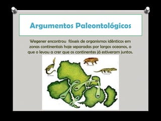 Argumentos Paleontológicos
Wegener encontrou fósseis de organismos idênticos em
zonas continentais hoje separadas por largos oceanos, o
que o levou a crer que os continentes já estiveram juntos.

Ana Beatriz Fernandes

 