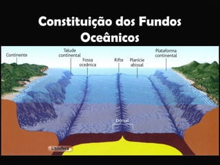 Constituição dos Fundos
Oceânicos

Ana Beatriz Fernandes

 