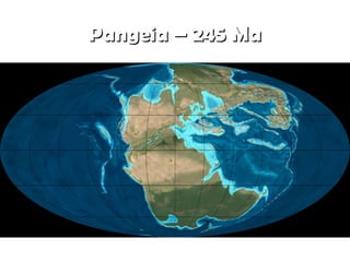 Pangeia – 245 Ma

 