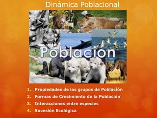 Dinámica Poblacional
1. Propiedades de los grupos de Población
2. Formas de Crecimiento de la Población
3. Interacciones entre especies
4. Sucesión Ecológica
 