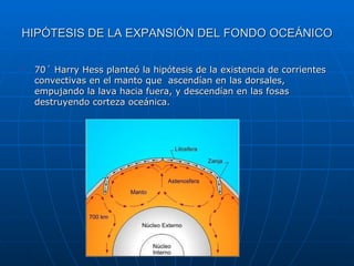 HIPÓTESIS DE LA EXPANSIÓN DEL FONDO OCEÁNICO 70´ Harry Hess planteó la hipótesis de la existencia de corrientes convectivas en el manto que  ascendían en las dorsales, empujando la lava hacia fuera, y descendían en las fosas destruyendo corteza oceánica. 