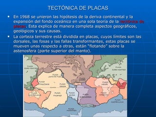 TECTÓNICA DE PLACAS En 1968 se unieron las hipótesis de la deriva continental y la expansión del fondo oceánico en una sola teoría de la  tectónica de placas . Esta explica de manera completa aspectos geográficos, geológicos y sus causas. La corteza terrestre está dividida en placas, cuyos límites son las dorsales, las fosas y las fallas transformantes, estas placas se mueven unas respecto a otras, están “flotando” sobre la astenosfera (parte superior del manto). 