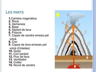 LES PARTS
1.Cambra magmàtica
2. Roca
3. Xemeneia
4. Base
5. Dipòsit de lava
6. Fissura
7. Capes de cendra emesa pel
volcà
8. Con
9. Capes de lava emeses pel
volcà (Colades)
10. Gorja
11. Con paràsit
12. Flux de lava
13. Ventilador
14. Cràter
15. Núvol de cendra
 