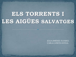 ELS TORRENTS I
LES AIGÜES SALVATGES
JÚLIA JIMÉNEZ ÀLVAREZ.
CARLA CAÑETE ESTEVA.
 