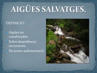 DEFINICIÓ:
 Aigües no
canalitzades.
 Solen desembocar
en torrents.
 No tenen sedimentació.
 