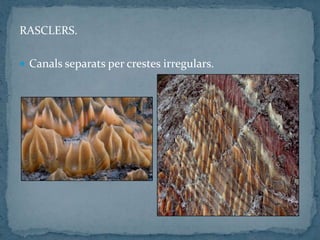 RASCLERS.
 Canals separats per crestes irregulars.
 