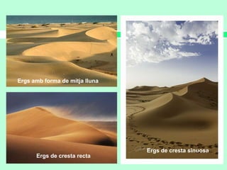 Ergs de cresta recta
Ergs amb forma de mitja lluna
Ergs de cresta sinuosa
 