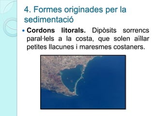 4. Formes originades per la
sedimentació
 Cordons litorals. Dipòsits sorrencs
paral·lels a la costa, que solen aïllar
petites llacunes i maresmes costaners.
 