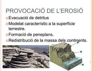PROVOCACIÓ DE L’EROSIÓ
Evacuació de detritus
Modelat característic a la superfície
terrestre.
Formació de peneplans.
Redistribució de la massa dels continents.
 