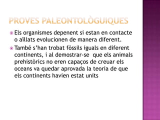  Els organismes depenent si estan en contacte
o aïllats evolucionen de manera diferent.
 També s’han trobat fòssils iguals en diferent
continents, i al demostrar-se que els animals
prehistòrics no eren capaços de creuar els
oceans va quedar aprovada la teoria de que
els continents havien estat units
 