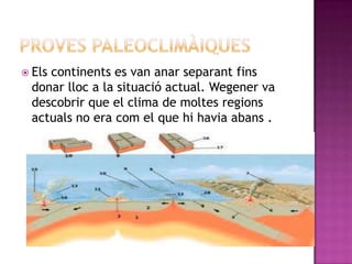  Els continents es van anar separant fins
donar lloc a la situació actual. Wegener va
descobrir que el clima de moltes regions
actuals no era com el que hi havia abans .
 