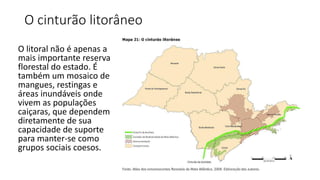 O cinturão litorâneo
O litoral não é apenas a
mais importante reserva
florestal do estado. É
também um mosaico de
mangues, restingas e
áreas inundáveis onde
vivem as populações
caiçaras, que dependem
diretamente de sua
capacidade de suporte
para manter-se como
grupos sociais coesos.
 