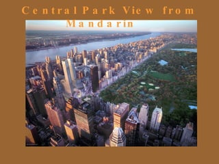 Central Park View from Mandarin 