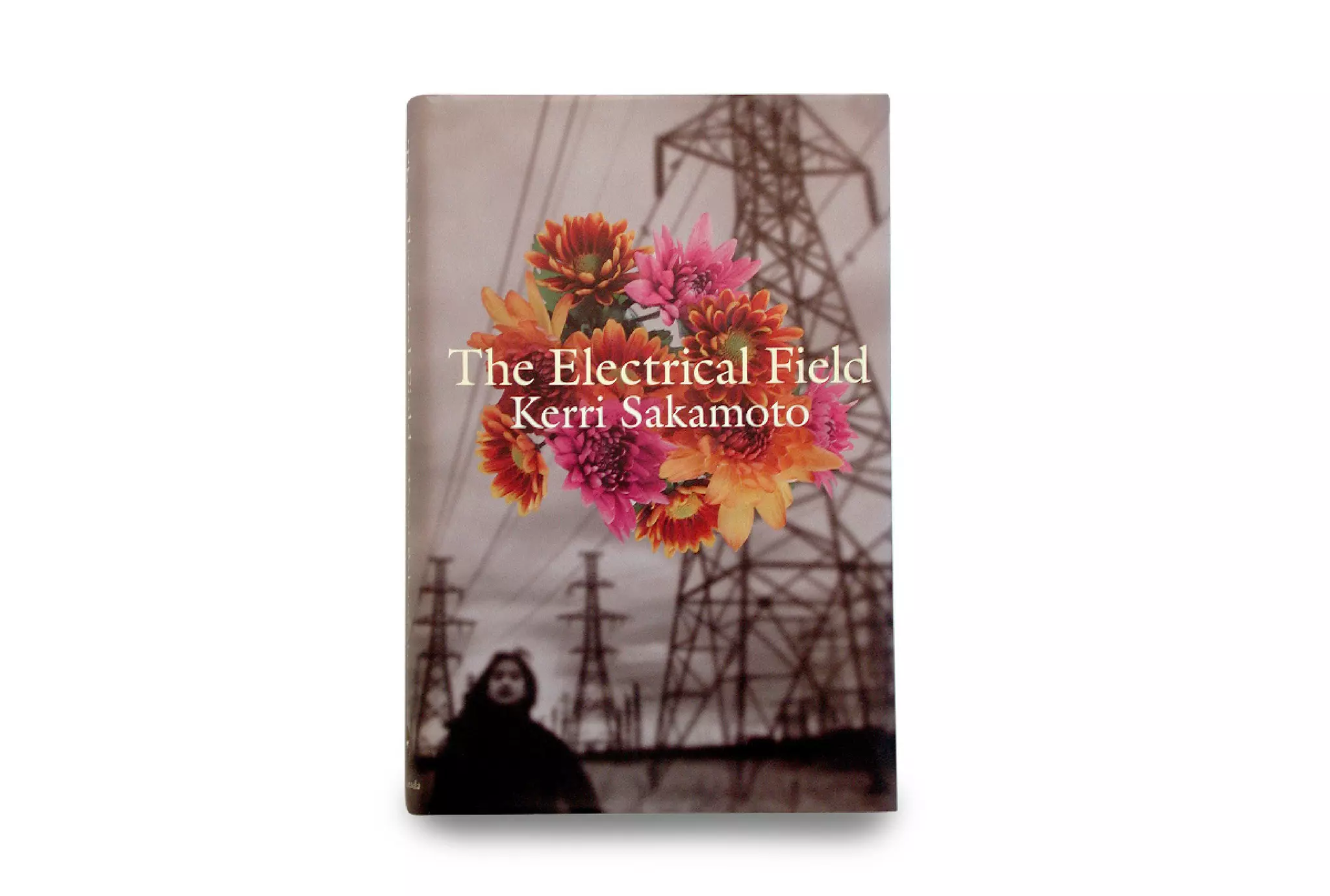 Print Design - Dinnick & Howells