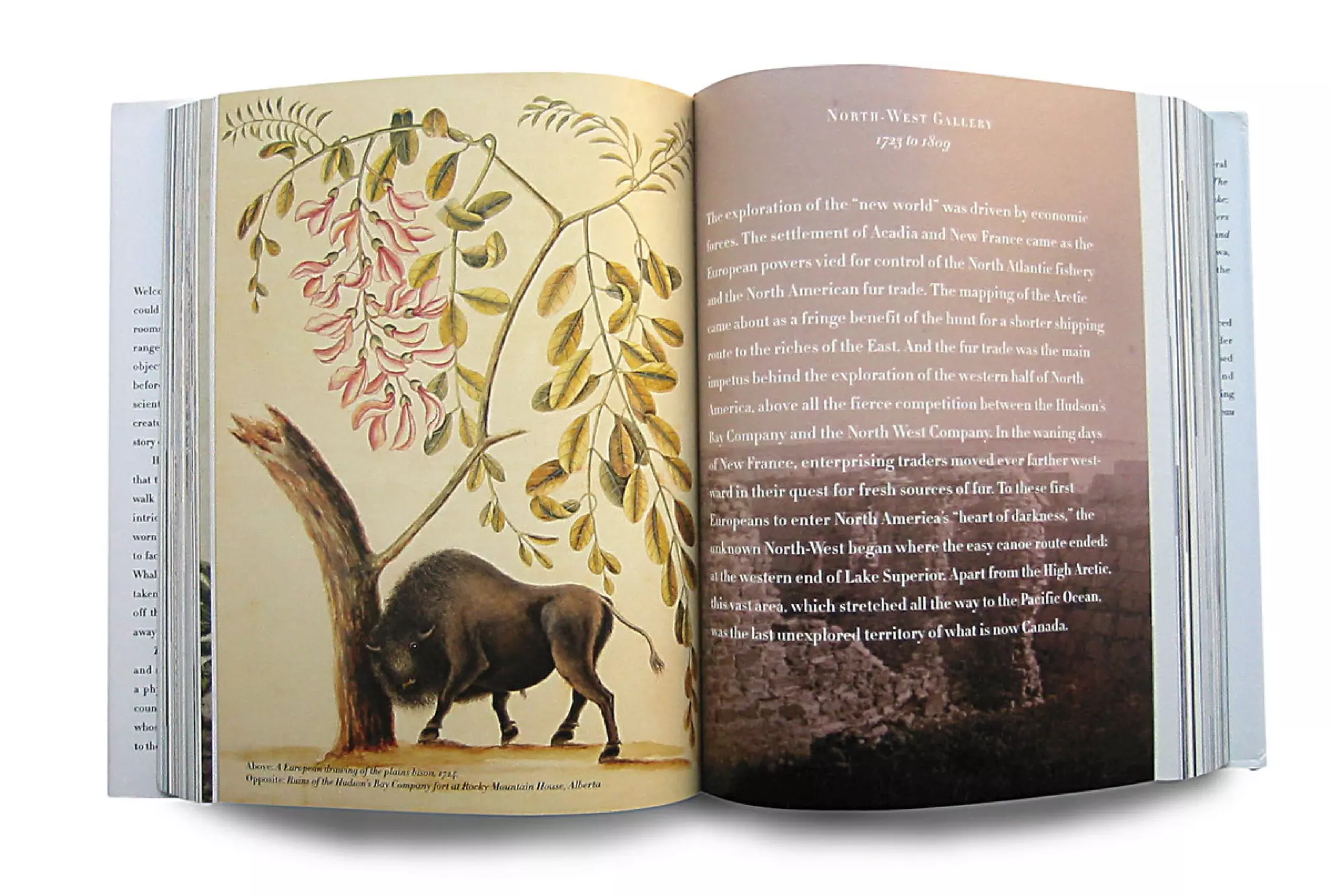 Print Design - Dinnick & Howells