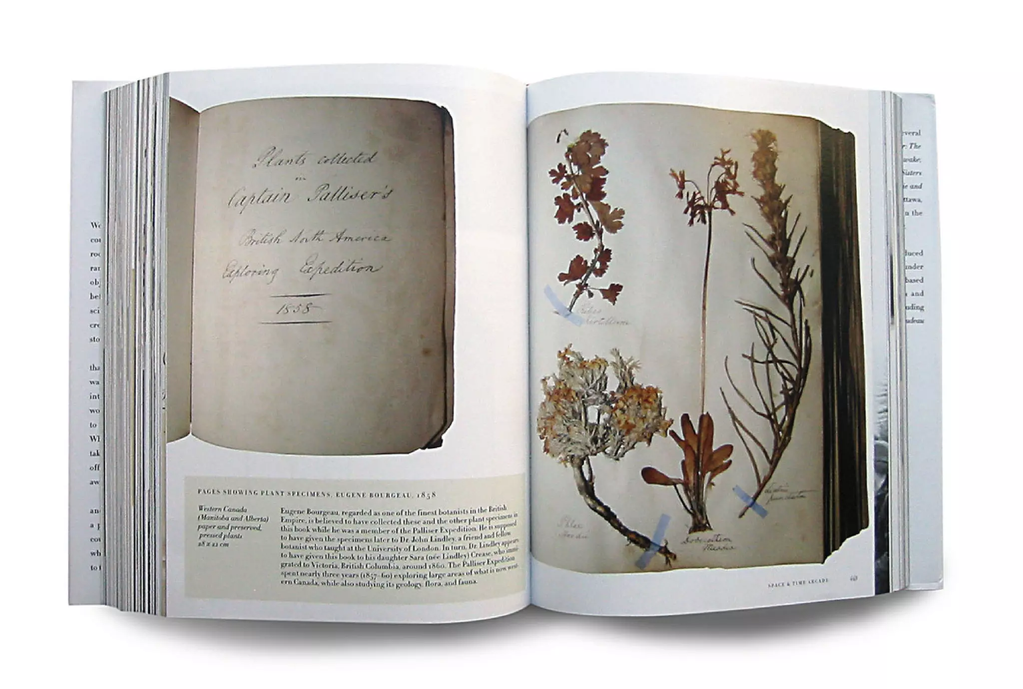 Print Design - Dinnick & Howells