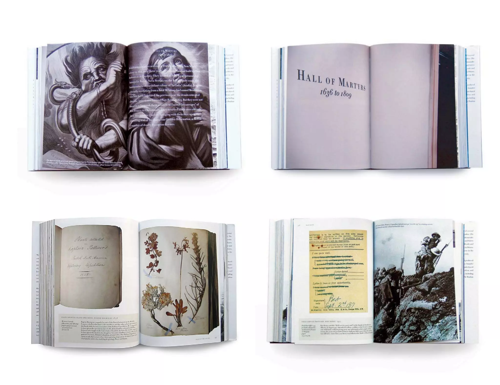 Print Design - Dinnick & Howells