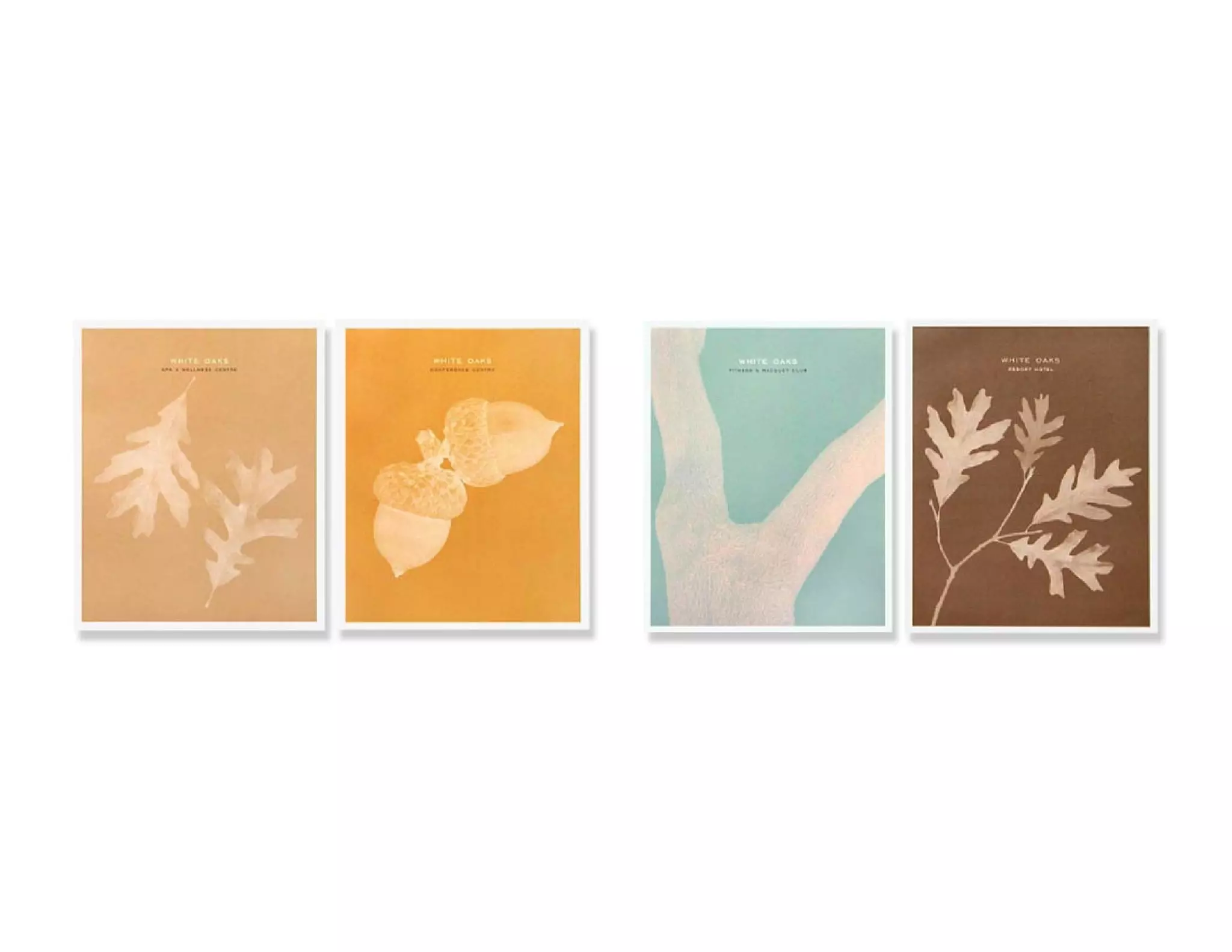 Print Design - Dinnick & Howells