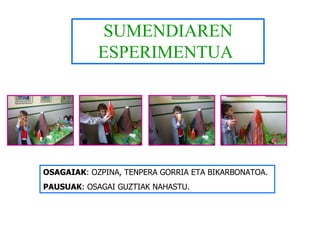 SUMENDIAREN ESPERIMENTUA   OSAGAIAK : OZPINA, TENPERA GORRIA ETA BIKARBONATOA. PAUSUAK : OSAGAI GUZTIAK NAHASTU. 