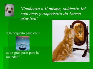 “ Conócete a ti mismo, quiérete tal cual eres y exprésate de forma asertiva” “ Un pequeño paso en ti  es un gran paso para la sociedad” 