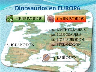 CLASIFICACION:O: Ornitisquios  SO: Marginosefalos F: Ceratopsidos    G: TriceratopsTRICERATOPS(“cara con tres cuernos”)ULTIMO MOMENTO!!!Sus compañeros de Futbol le Decían …Vos pégale pero NO con la CABEZA!!!9 m12.000 Kg3 m  8 El collarín óseo de su cabeza no era para defensa, era delgado