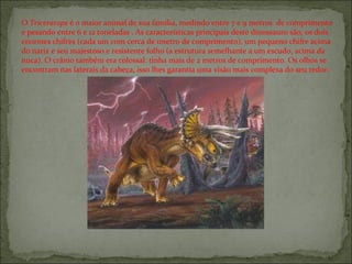 O  Triceratops  é o maior animal de sua família, medindo entre 7 e 9 metros  de comprimento e pesando entre 6 e 12 toneladas . As características principais deste dinossauro são, os dois enormes chifres (cada um com cerca de 1metro de comprimento), um pequeno chifre acima do nariz e seu majestoso e resistente folho (a estrutura semelhante a um escudo, acima da nuca). O crânio também era colossal: tinha mais de 2 metros de comprimento. Os olhos se encontram nas laterais da cabeça, isso lhes garantia uma visão mais complexa do seu redor.  