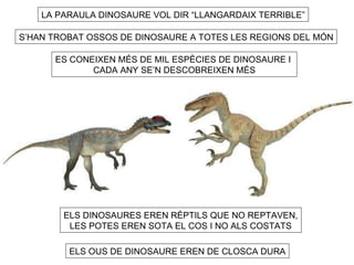 LA PARAULA DINOSAURE VOL DIR “LLANGARDAIX TERRIBLE” S’HAN TROBAT OSSOS DE DINOSAURE A TOTES LES REGIONS DEL MÓN ES CONEIXEN MÉS DE MIL ESPÈCIES DE DINOSAURE I  CADA ANY SE’N DESCOBREIXEN MÉS ELS DINOSAURES EREN RÈPTILS QUE NO REPTAVEN, LES POTES EREN SOTA EL COS I NO ALS COSTATS ELS OUS DE DINOSAURE EREN DE CLOSCA DURA 