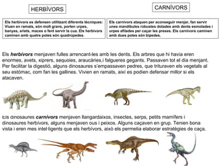 HERBÍVORS CARNÍVORS Els herbívors es defensen utilitzant diferents tècniques: Viuen en ramats, són molt grans, porten urpes,  banyes, ariets, maces o fent servir la cua. Els herbívors caminen amb quatre potes són quadrúpedes. Els carnívors   ataquen per aconseguir menjar, fan servir unes mandíbules robustes dotades amb dents esmolades i urpes afilades per caçar les preses. Els carnívors caminen amb dues potes són bípedes. Els  herbívors  menjaven fulles arrencant-les amb les dents. Els arbres que hi havia eren enormes, avets, xiprers, sequoies, araucàries,i falgueres gegants. Passaven tot el dia menjant. Per facilitar la digestió, alguns dinosaures s’empassaven pedres, que trituraven els vegetals al seu estómac, com fan les gallines. Vivien en ramats, així es podien defensar millor si els atacaven. Els dinosaures  carnívors  menjaven llangardaixos, insectes, serps, petits mamífers i dinosaures herbívors, alguns menjaven ous i peixos. Alguns caçaven en grup. Tenien bona vista i eren mes intel·ligents que els herbívors, això els permetia elaborar estratègies de caça. 