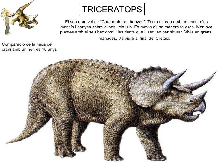 Resum dels Dinosaures