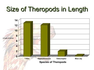 Size of Theropods in Length 