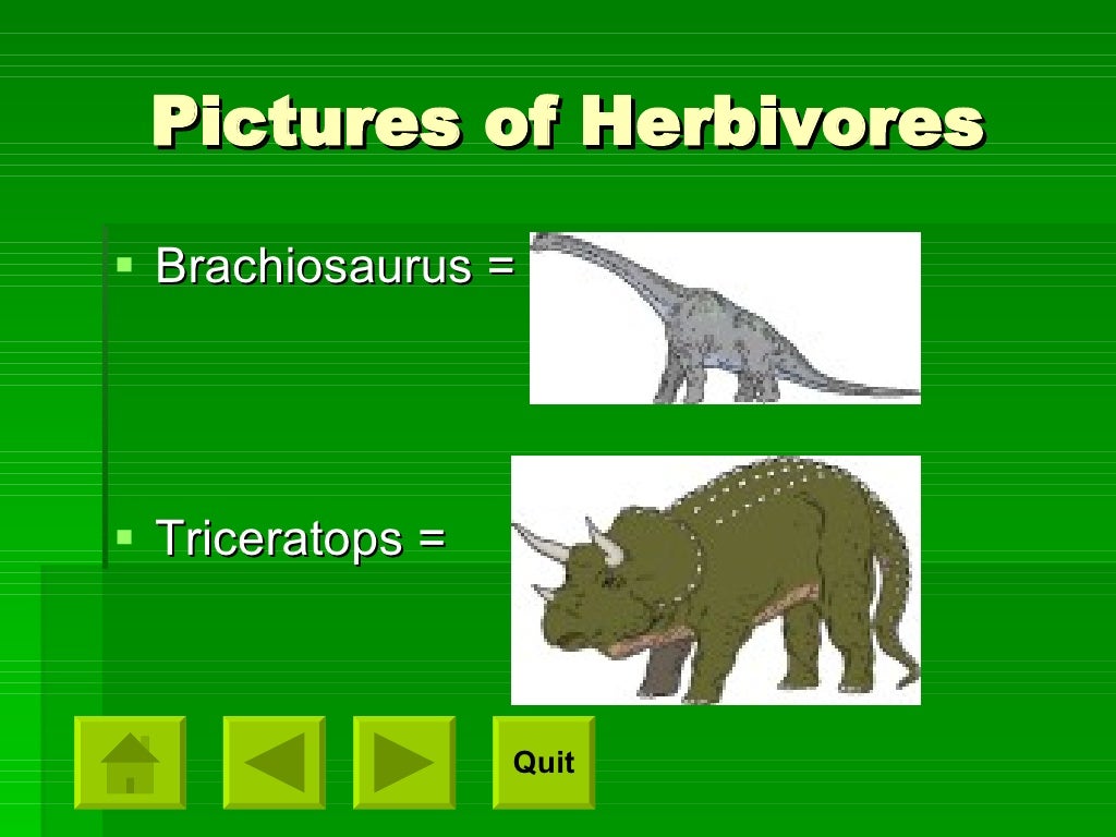 dinosaur presentation ideas
