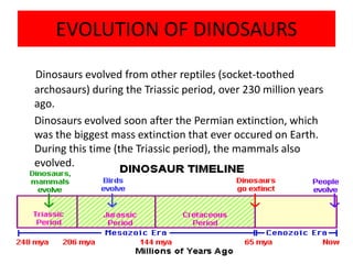 Dinosaur and their extinction | PPTX