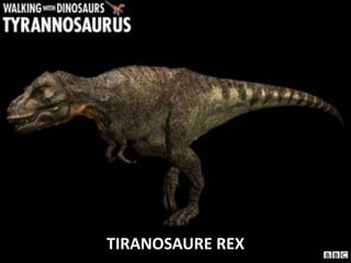 TIRANOSAURE REX
 