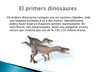 Els primers dinosaures coneguts van ser carnívors bípedes, amb
una longitud estimada d'un a dos metres. Spondylosoma
podria haver estat un d'aquests primers representants. Els
seus fòssils, tots postcraneales, tenen una antiguitat incerta,
encara que s'estima que són de fa 230-232 milions d'anys
 