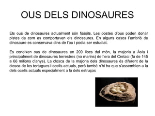 OUS DELS DINOSAURES
Els ous de dinosaures actualment són fòssils. Les postes d’ous poden donar
pistes de com es comportaven els dinosaures. En alguns casos l’embrió de
dinosaure es conservava dins de l’ou i podia ser estudiat.
Es coneixen ous de dinosaures en 200 llocs del món, la majoria a Àsia i
principalment de dinosaures terrestres (no marins) de l’era del Cretaci (fa de 145
a 66 milions d’anys). La closca de la majoria dels dinosaures és diferent de la
closca de les tortugues i ocells actuals, però també n’hi ha que s’assemblen a la
dels ocells actuals especialment a la dels estruços
 