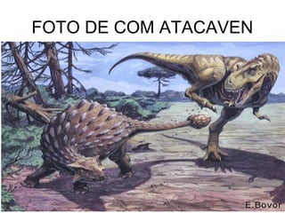 FOTO DE COM ATACAVEN
 