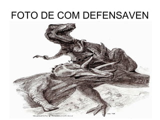 FOTO DE COM DEFENSAVEN
 