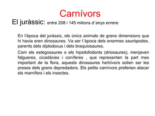 Carnívors
El juràssic: entre 208 i 145 milions d´anys enrere
En l’època del juràssic, els únics animals de grans dimensions que
hi havia eren dinosaures. Va ser l´època dels enormes sauròpodes,
parents dels diplodocus i dels braquiosaures.
Com els estegosaures o els hipsilofodonts (driosaures), menjaven
falgueres, cicadàcies i coníferes , que representen la part mes
important de la flora, aquests dinosaures herbívors solien ser les
preses dels grans depredadors. Els petits carnívors preferien atacar
els mamífers i els insectes.
 