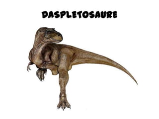 DASPLETOSAURE
 