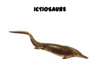 ICTIOSAURE
 