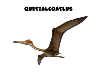 QUETZALCOATLUS
 