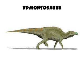 EDMONTOSAURE
 
